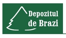 Depozitul de Brazi